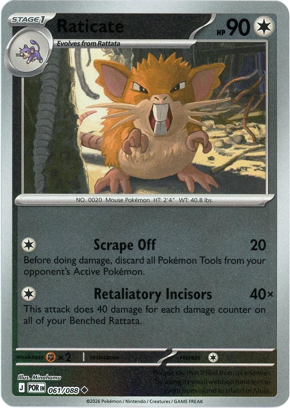 061/088 - Raticate RH - Perfect Order