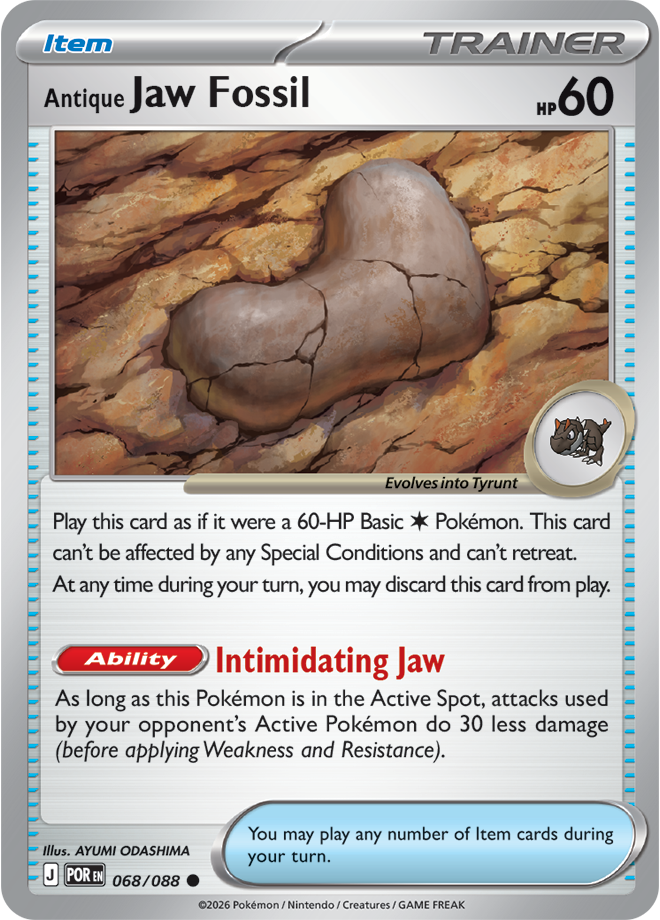 068/088 - Antique Jaw Fossil - Perfect Order