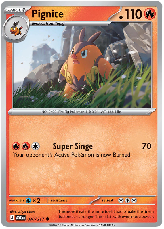 030/217 - Pignite - Ascended Heroes