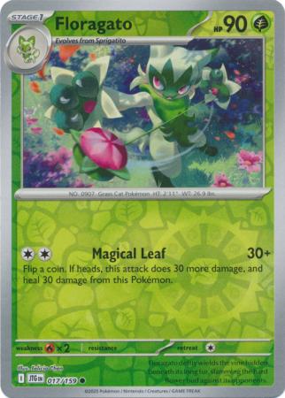017/159 - Floragato RH - Journey Together