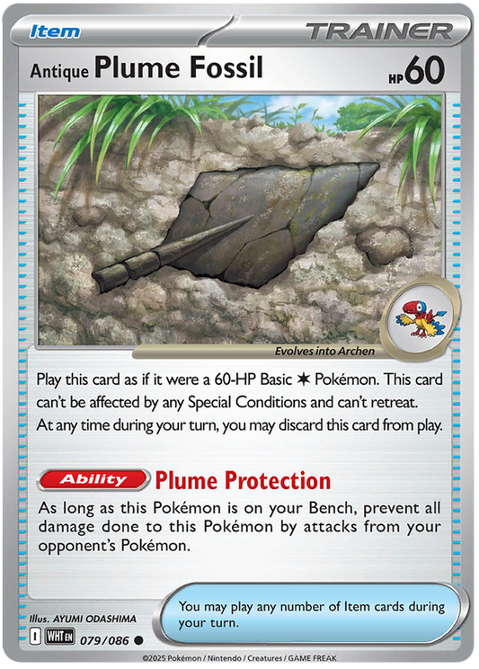 079/086 - Antique Plume Fossil - White Flare