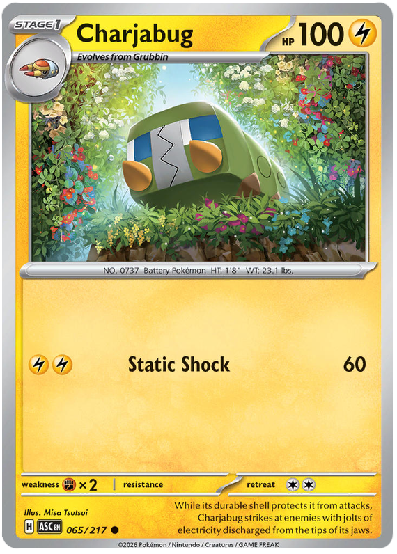 065/217 - Charjabug - Ascended Heroes