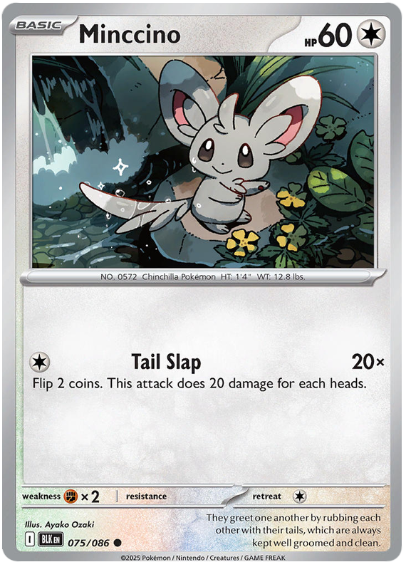 075/086 - Minccino - Black Bolt