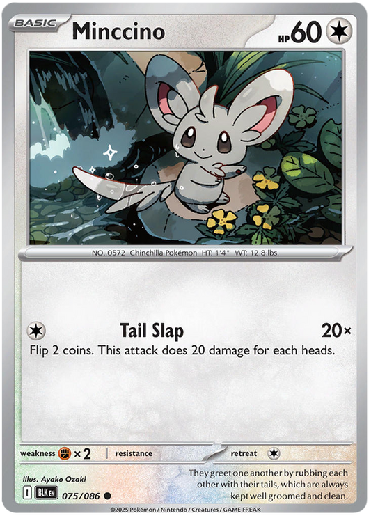 075/086 - Minccino - Black Bolt