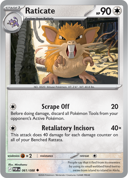 061/088 - Raticate - Perfect Order