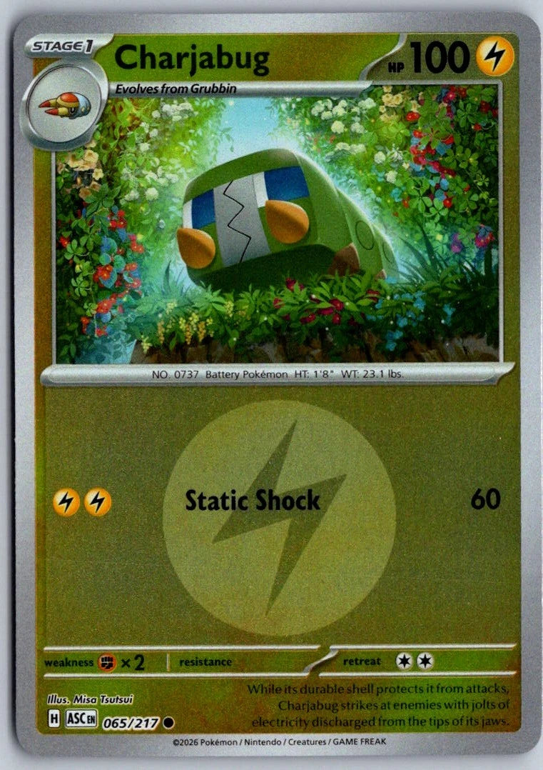 065/217 - Charjabug - Energy Holo - Ascended Heroes