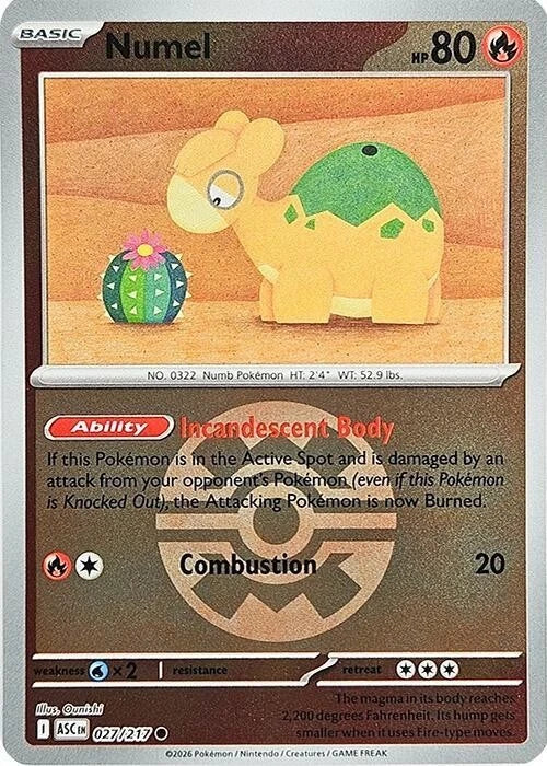 027/217 - Numel - Poke Ball - Ascended Heroes
